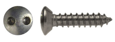 #SEC10 — Spanner Head Screw