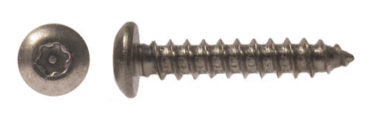 #SEC35 — Torx Security Screw