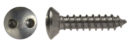 Security Fasteners